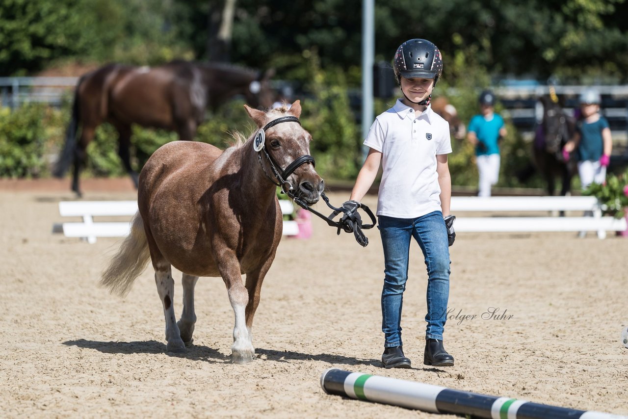 Bild 177 - Pony Akademie Turnier